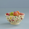 Melamine Bowl
