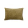 Velvet Cushion