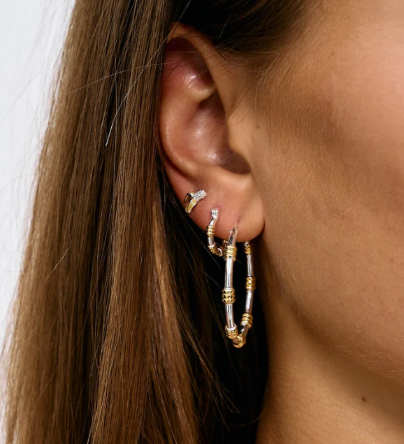Dual Ring Earrings
