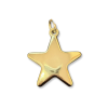 Star Pendant