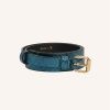 Iovi Metallic Belt