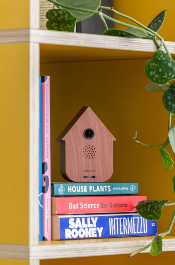 Sound Box Modern Cuckoo