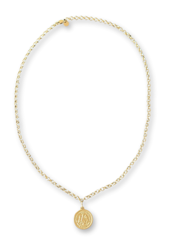 Coin Long Necklace
