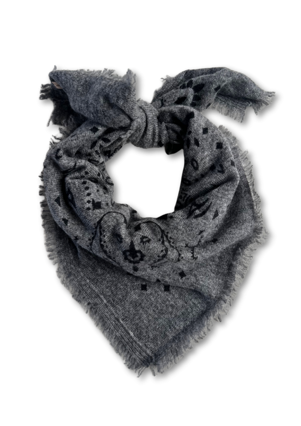 100% Cashmere Paisley Scarf